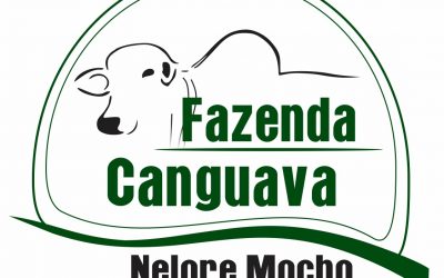Venda de Touros Reprodutores – Fazenda Canguava