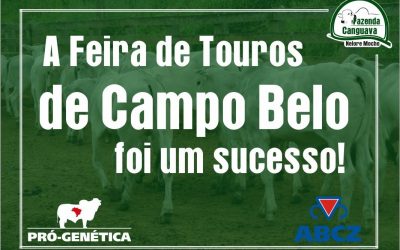 Feira de Touros Pró-Genética de Campo Belo